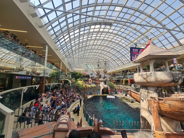 Top 3 things to do in Marine Life West Edmonton Mall