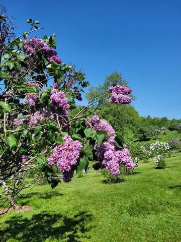 Best 3 activities at RBG Cootes Paradise Sanctuary Hamilton