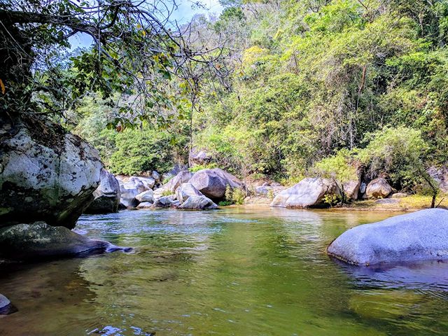 The 5 Best Parks in Puerto Vallarta