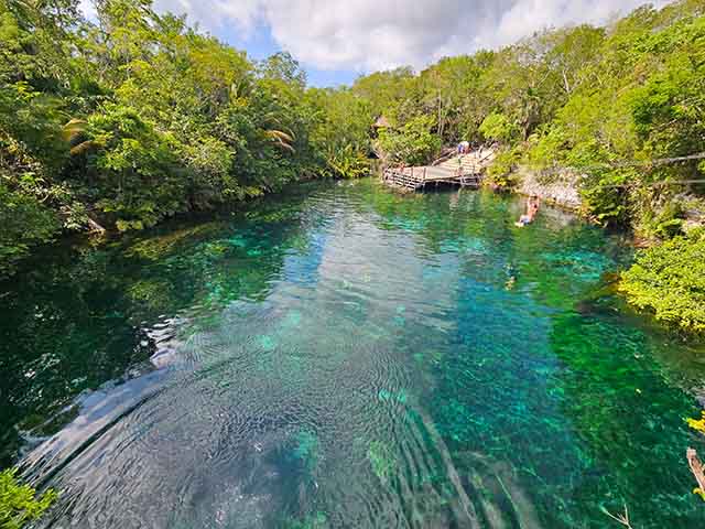 Best 3 Things to Do in Cenote Abierto Lago Playa del Carmen - urtrips