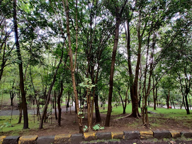 The best 10 parks in Pune