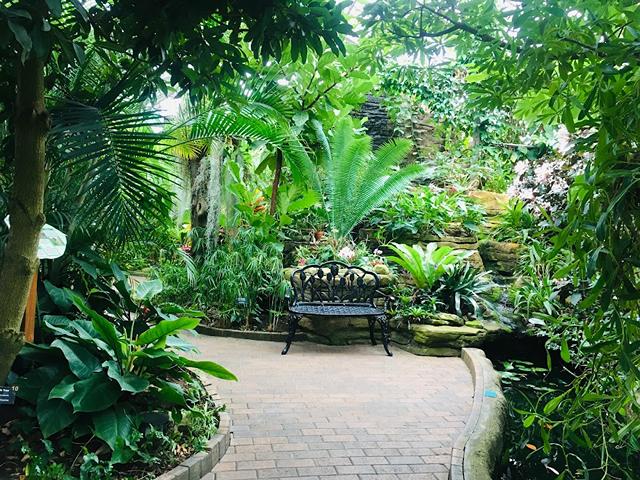 Best 4 Things in Garfield Park Conservatory Garden Indianapolis