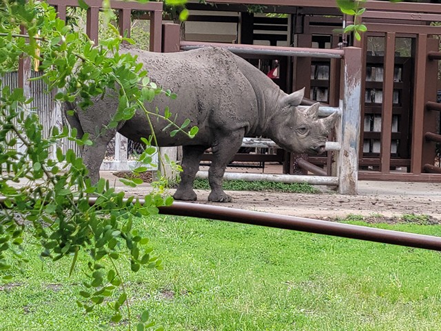 Best 5 things to do in Great Plains Zoo Sioux Falls