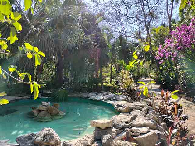 The 6 Best Parks in Playa del Carmen