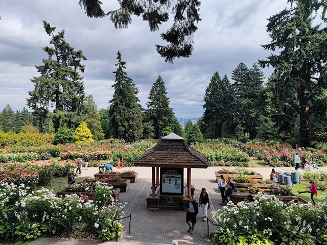 Top 3 Things to Do at Washington Park Portland