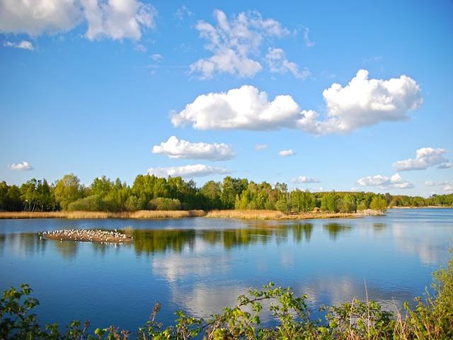 Top 5 activities to do at Whisby Nature Forest Lincoln