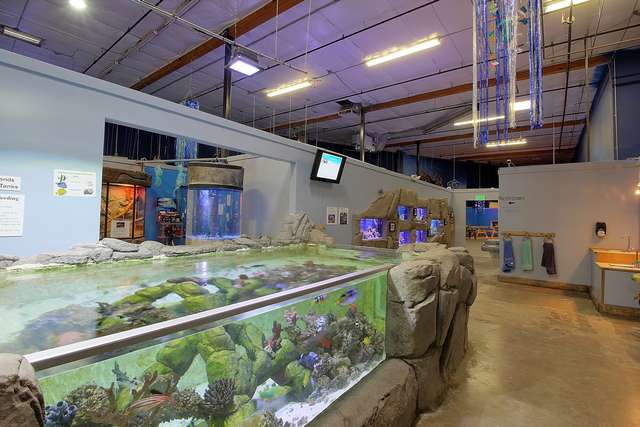 Top things to do at Boise Aquarium