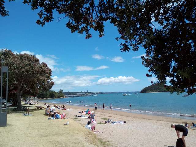 Top 6 things to do in Matapouri Beach Whangarei